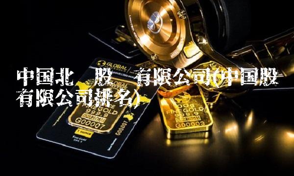 中国北车股份有限公司(中国股份有限公司排名)