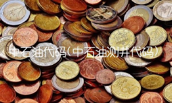 中石油代码(中石油测井代码)