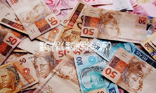 鹏辉(鹏辉能源)