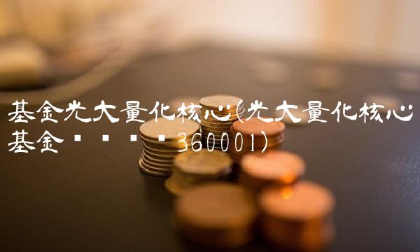 基金光大量化核心(光大量化核心基金净值查询360001)