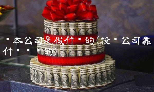 资本公司是做什么的(投资公司靠什么赚钱的)