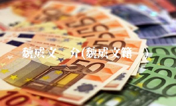 魏成文简介(魏成文籍贯)