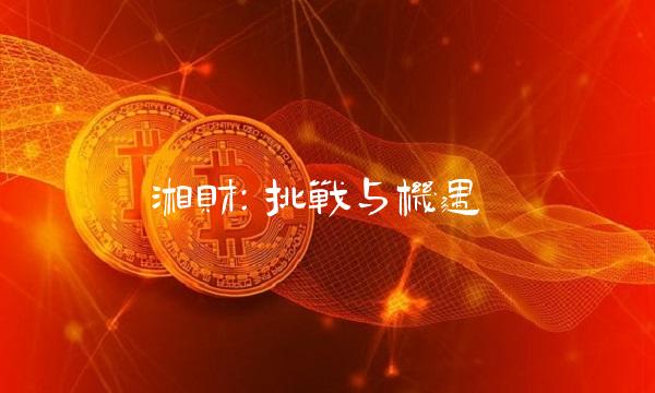 湘财：挑战与机遇