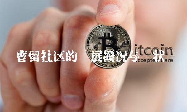 曹留社区的发展概况与现状