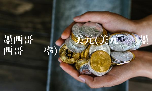 墨西哥货币兑换美元(美元兑换墨西哥币汇率)