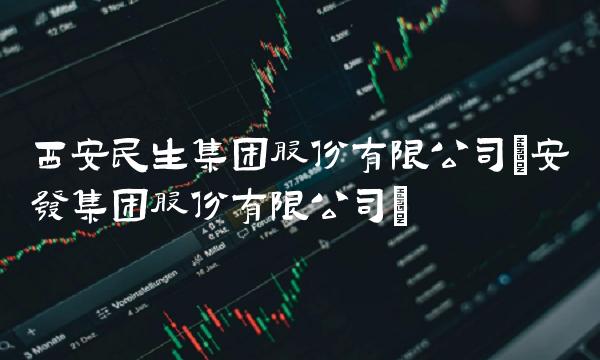 西安民生集团股份有限公司(安发集团股份有限公司)