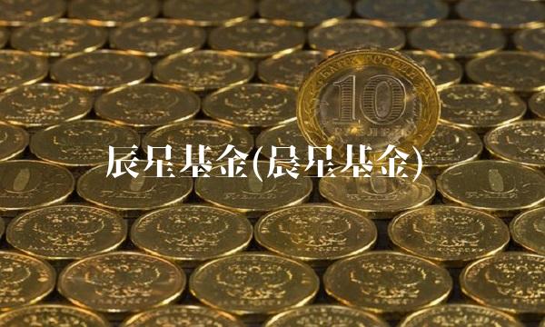 辰星基金(晨星基金)(1)
