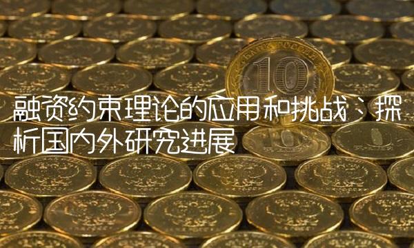 融资约束理论的应用和挑战：探析国内外研究进展