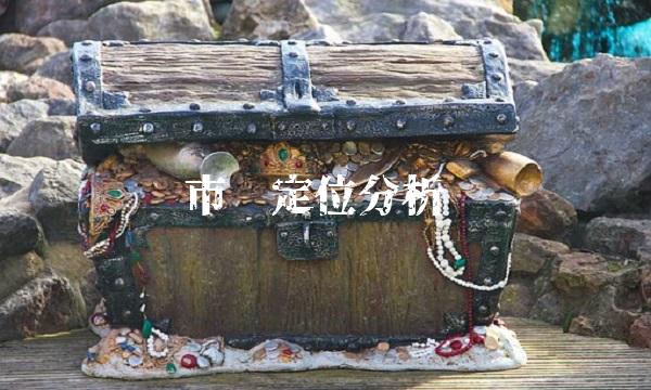 市场定位分析