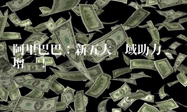 阿里巴巴：新五大领域助力业务增长！