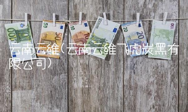 云南云维(云南云维飞虎炭黑有限公司)