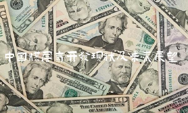 中国煤层气开发现状及未来展望