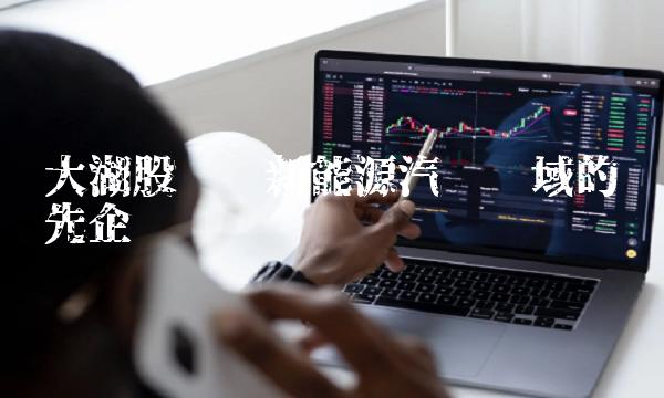 大湖股份——新能源汽车领域的领先企业