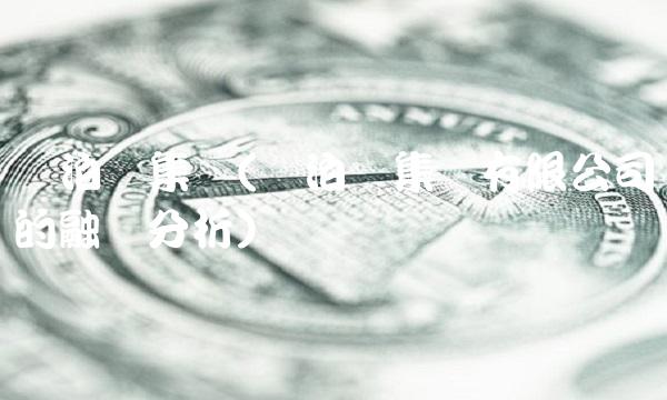 苏泊尔集团(苏泊尔集团有限公司的融资分析)