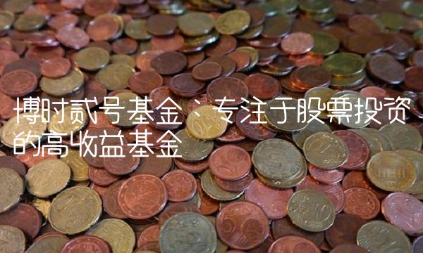 博时贰号基金：专注于股票投资的高收益基金