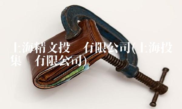 上海精文投资有限公司(上海投资集团有限公司)