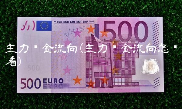 主力资金流向(主力资金流向怎么看)