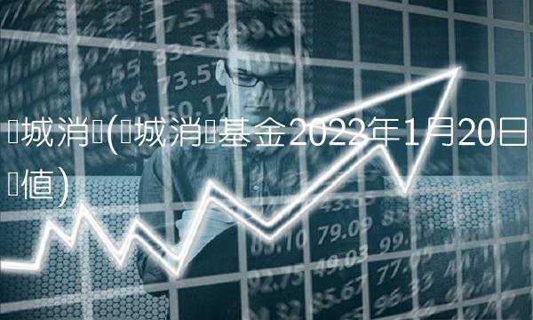 长城消费(长城消费基金2022年1月20日净值)(1)