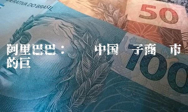 阿里巴巴：领导中国电子商务市场的巨头