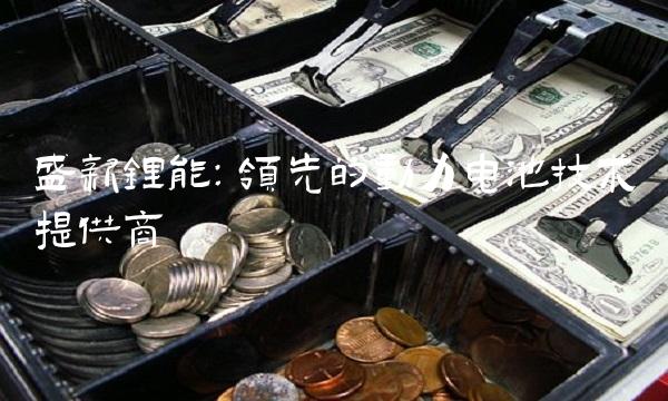 盛新锂能：领先的动力电池技术提供商