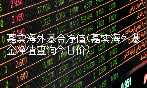 嘉实海外基金净值(嘉实海外基金净值查询今日价)(1)