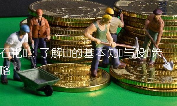 石化转债 了解转债的基本知识与投资策略