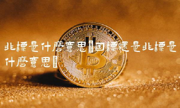 非标是什么意思(国标还是非标是什么意思)