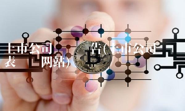 上市公司财务报告(上市公司财务报表查询网站)