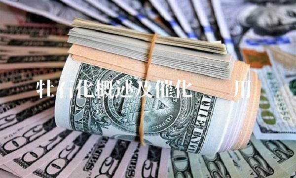 牡石化概述及催化剂应用