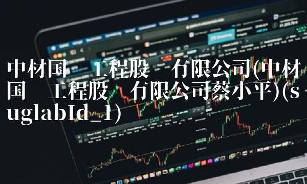 中材国际工程股份有限公司(中材国际工程股份有限公司蔡小平)(suglabId_1)