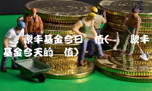 广发聚丰基金今日净值(广发聚丰基金今天的净值)