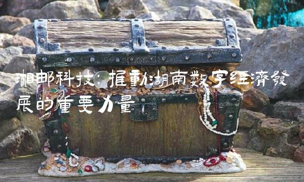 湘邮科技：推动湖南数字经济发展的重要力量