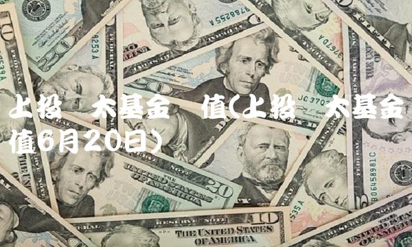 上投亚太基金净值(上投亚太基金净值6月20日)