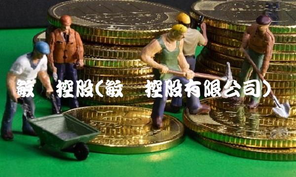 敏华控股(敏华控股有限公司)