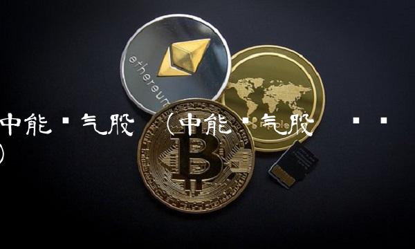 中能电气股吧(中能电气股吧论坛)