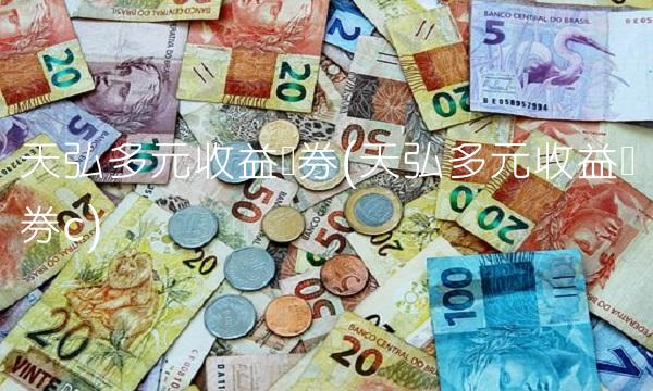 天弘多元收益债券(天弘多元收益债券c)
