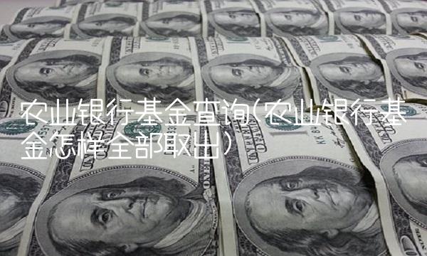 农业银行基金查询(农业银行基金怎样全部取出)