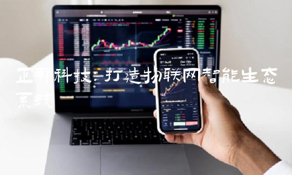 正邦科技：打造物联网智能生态系统