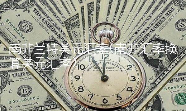 南非兰特美元汇率(南非汇率换算美元汇率)