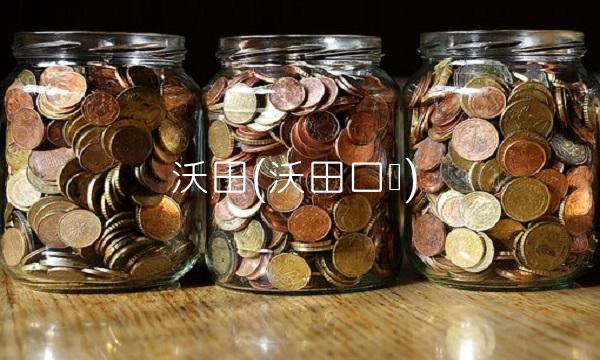 沃田(沃田口号)