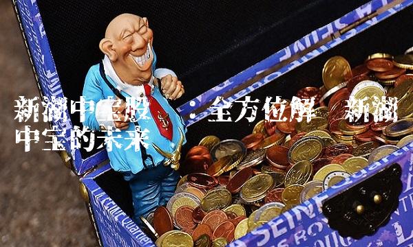 新湖中宝股吧：全方位解读新湖中宝的未来