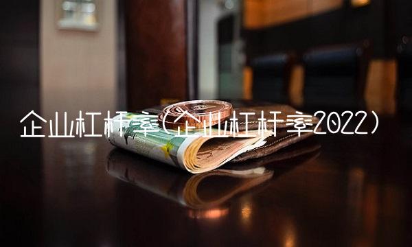 企业杠杆率(企业杠杆率2022)