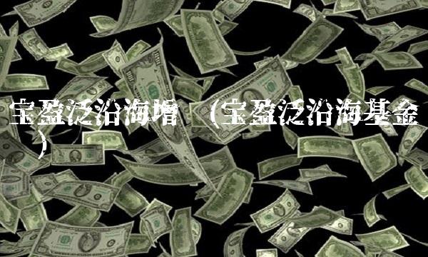 宝盈泛沿海增长(宝盈泛沿海基金净值)(1)