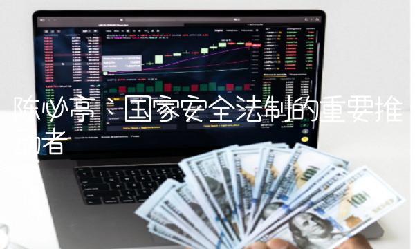 陈必亭：国家安全法制的重要推动者