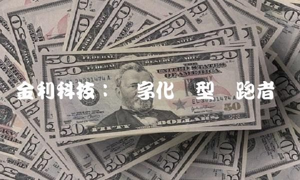 金利科技：数字化转型领跑者