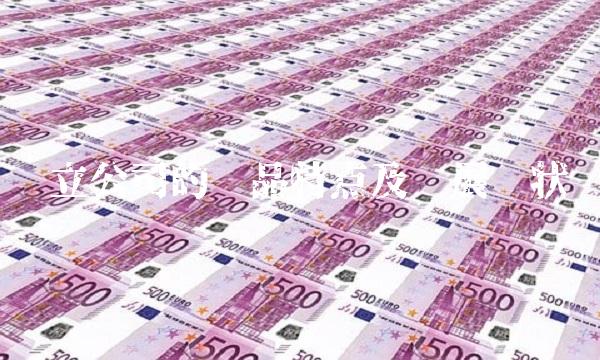 华立公司的产品特点及发展现状