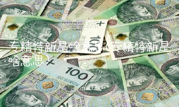 专精特新是啥意思(专精特新是啥意思)