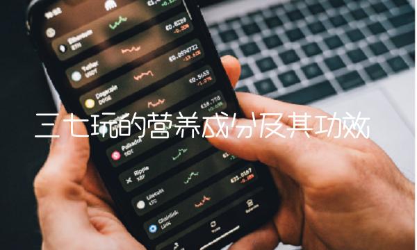 三七玩的营养成分及其功效