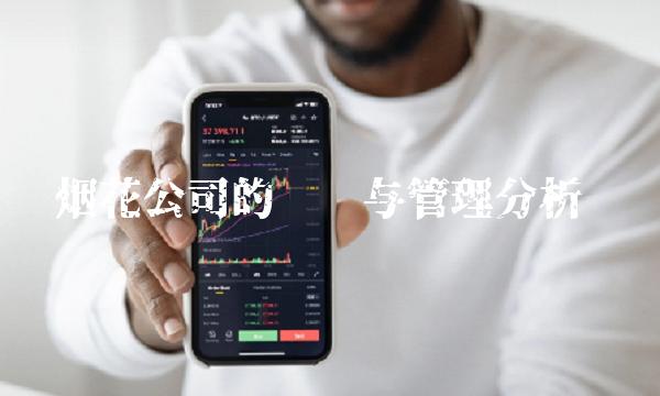 烟花公司的运营与管理分析