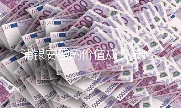 浦银安盛的价值成长策略